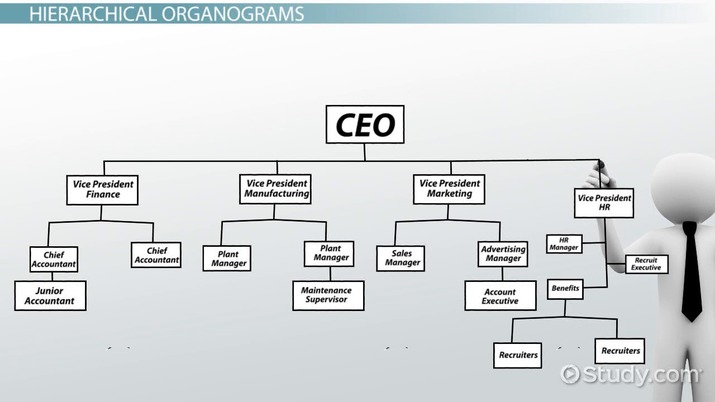 Company Organogram