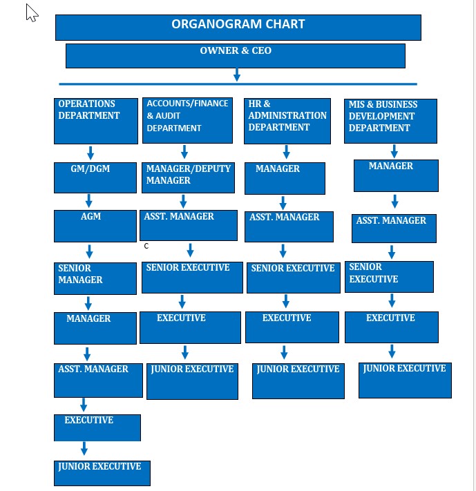 Company Organogram